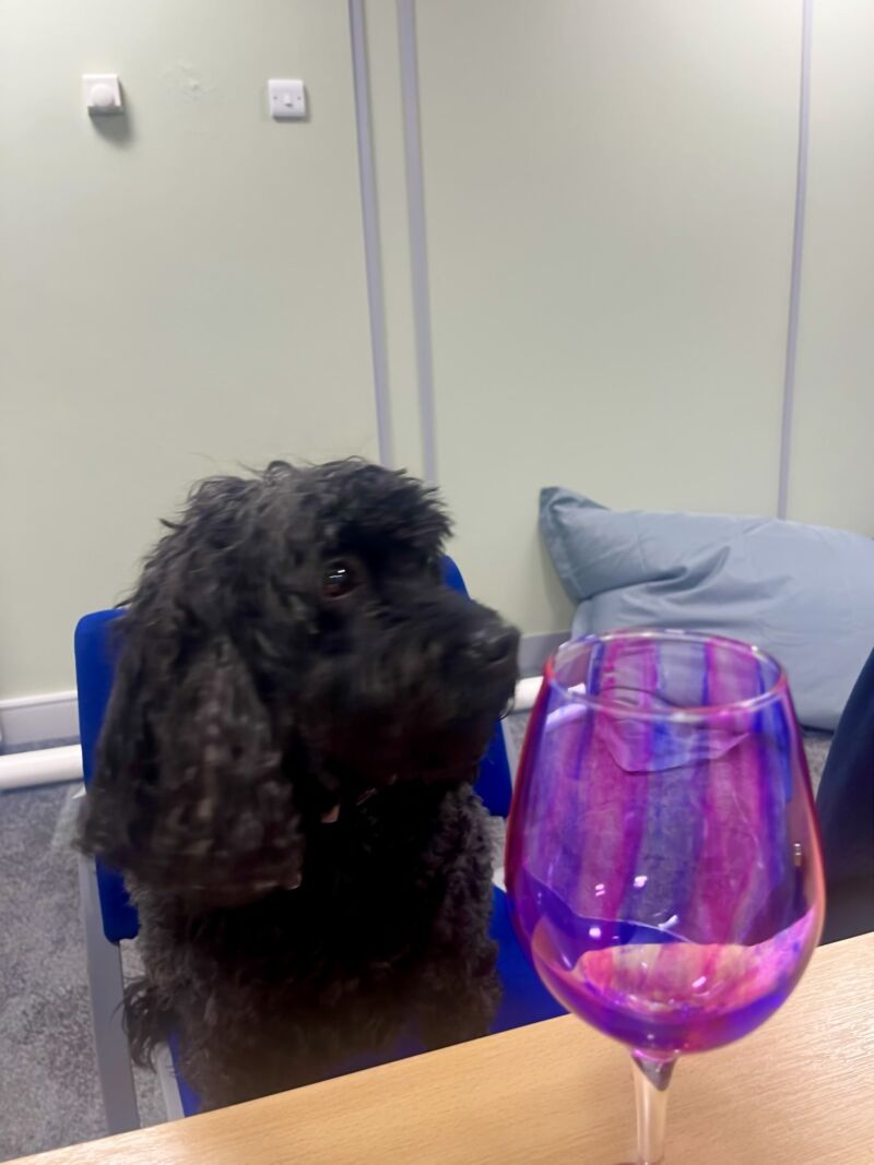 Image for the Tweet beginning: Our Outreach Students spent their