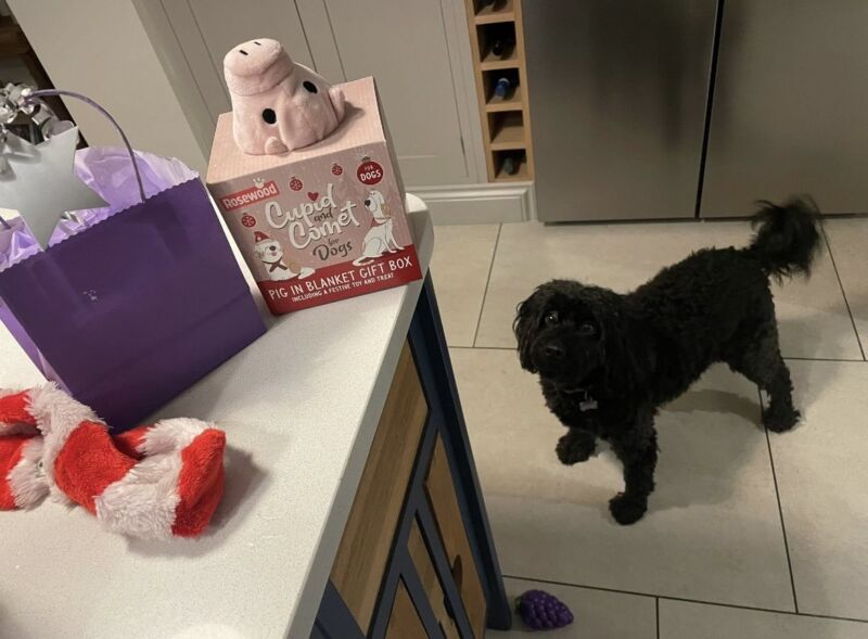 Image for the Tweet beginning: One of our students made