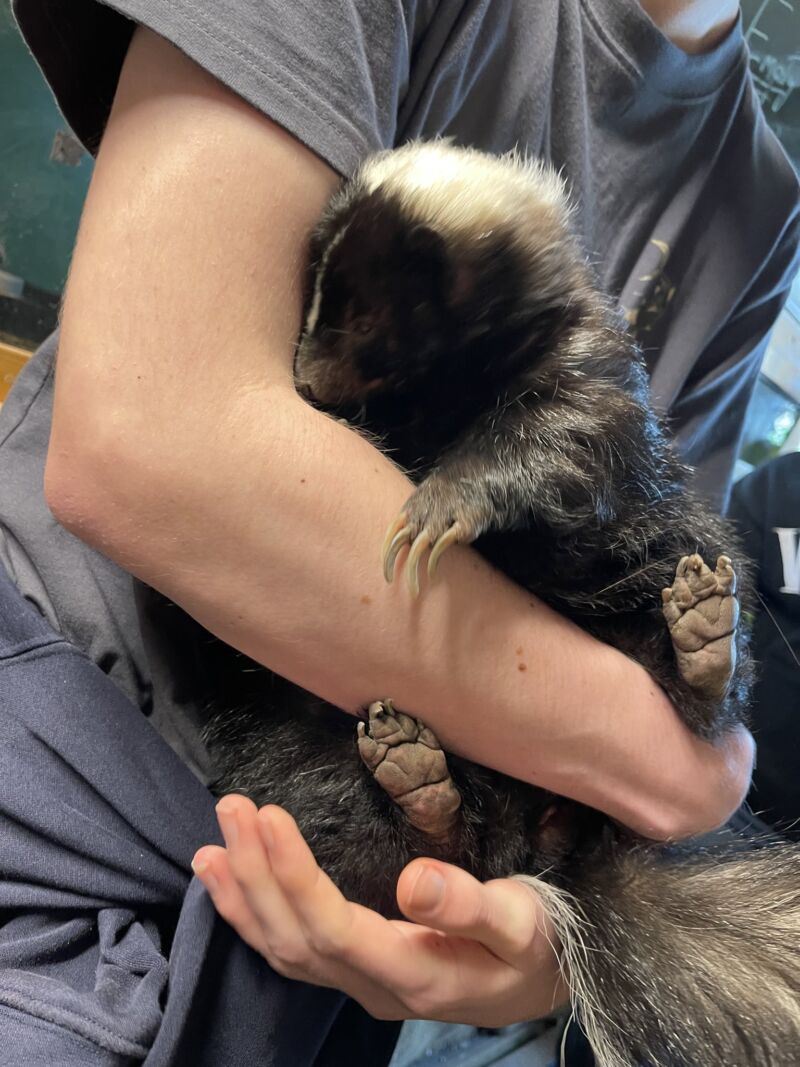 Image for the Tweet beginning: Last week Orange group to