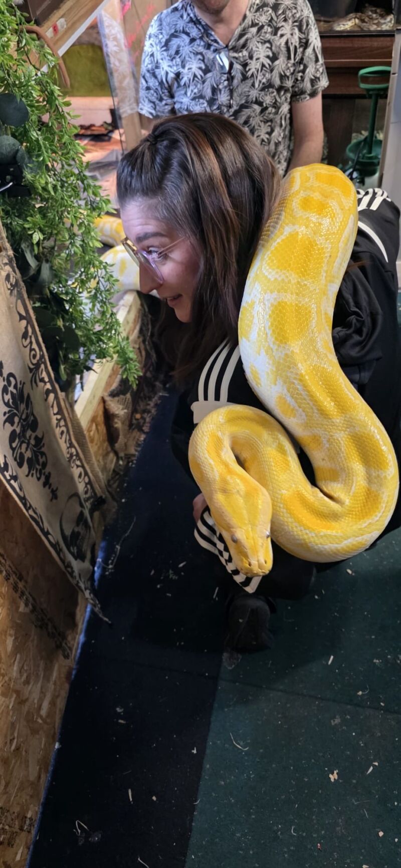 Image for the Tweet beginning: Last week Orange group to