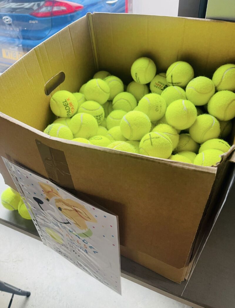 Image for the Tweet beginning: Students yesterday went to Surge