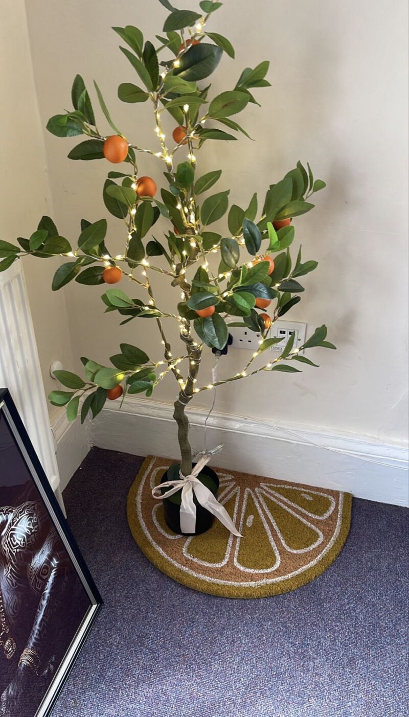 Image for the Tweet beginning: Orange form room has recently