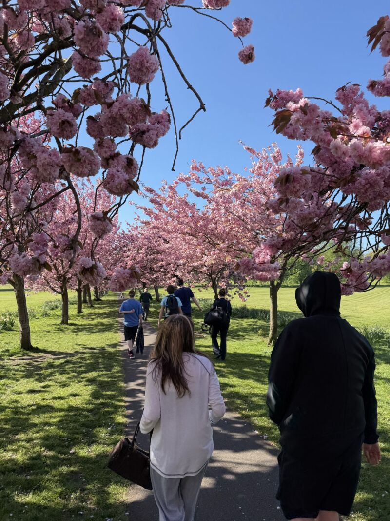 Image for the Tweet beginning: Today as part of our