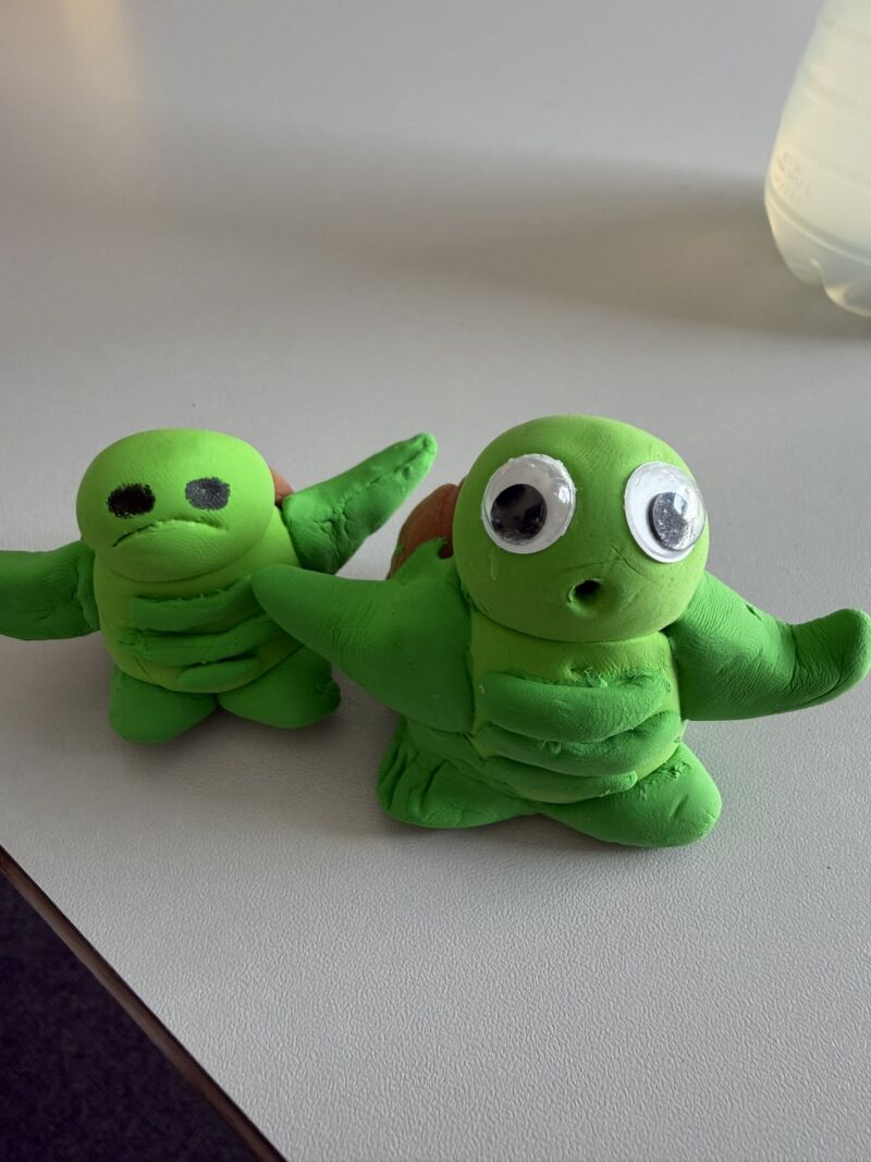 Image for the Tweet beginning: It’s World Turtle Day !