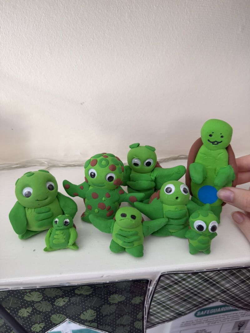Image for the Tweet beginning: It’s World Turtle Day !