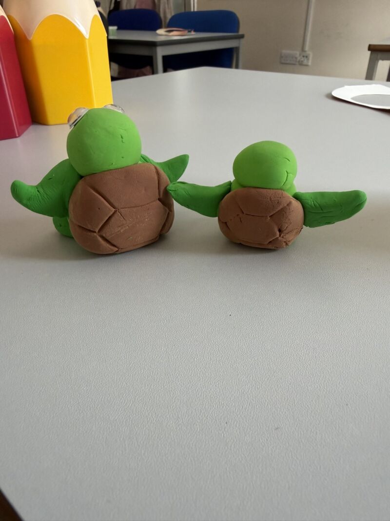 Image for the Tweet beginning: It’s World Turtle Day !