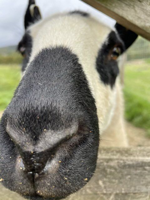 Image for the Tweet beginning: We really enjoyed our visit